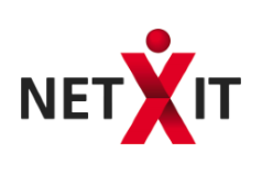 NET-X IT GmbH Logo